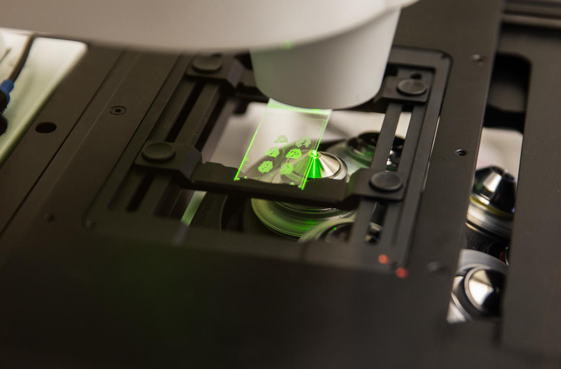 BrainMachine Interfacing Technologies Research at UCalgary