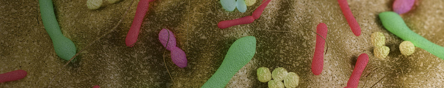 Microbiome