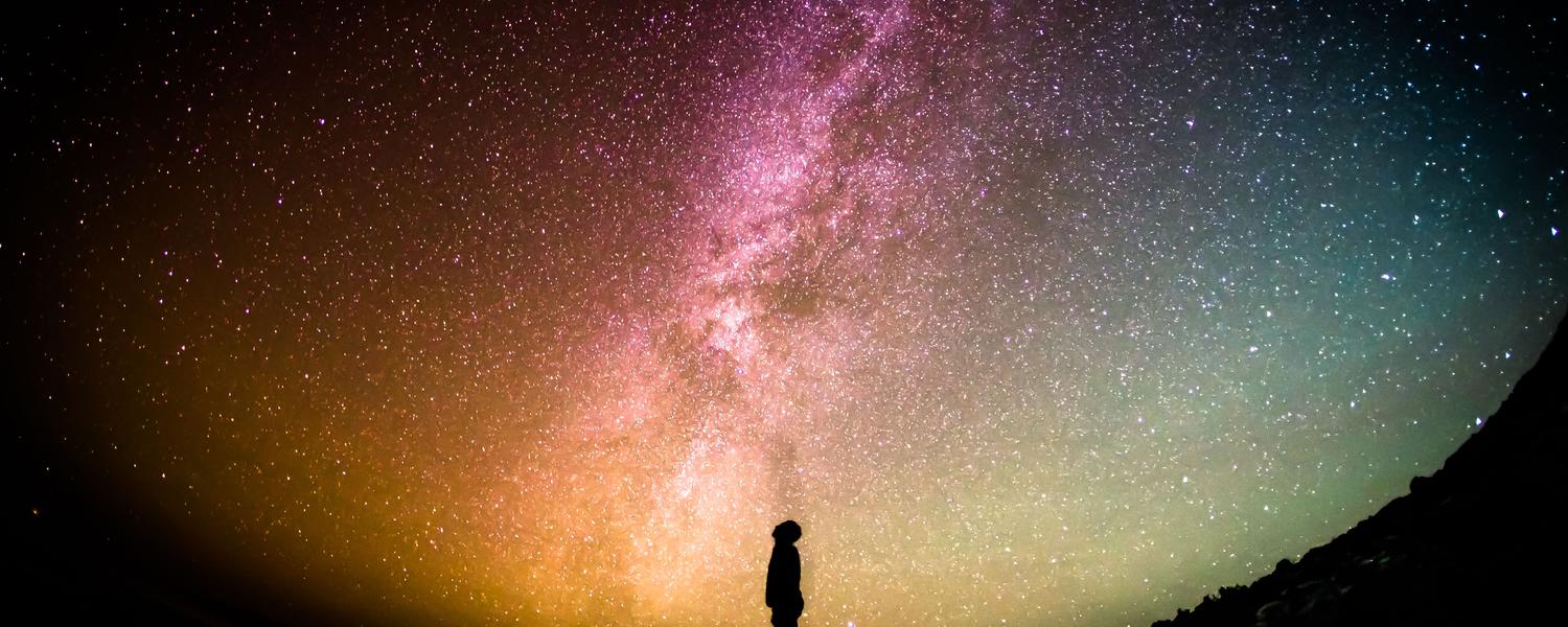 Night sky with silhouette - Photo credit Greg Rakozy