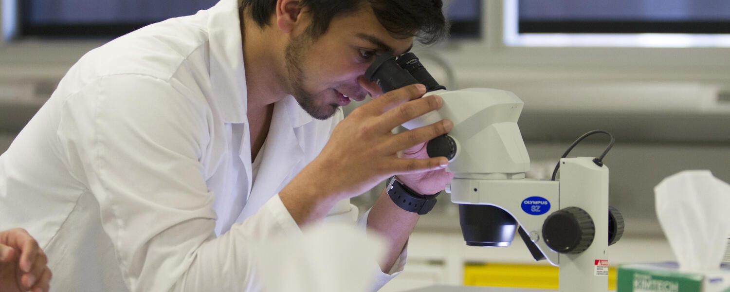 UCalgary researcher