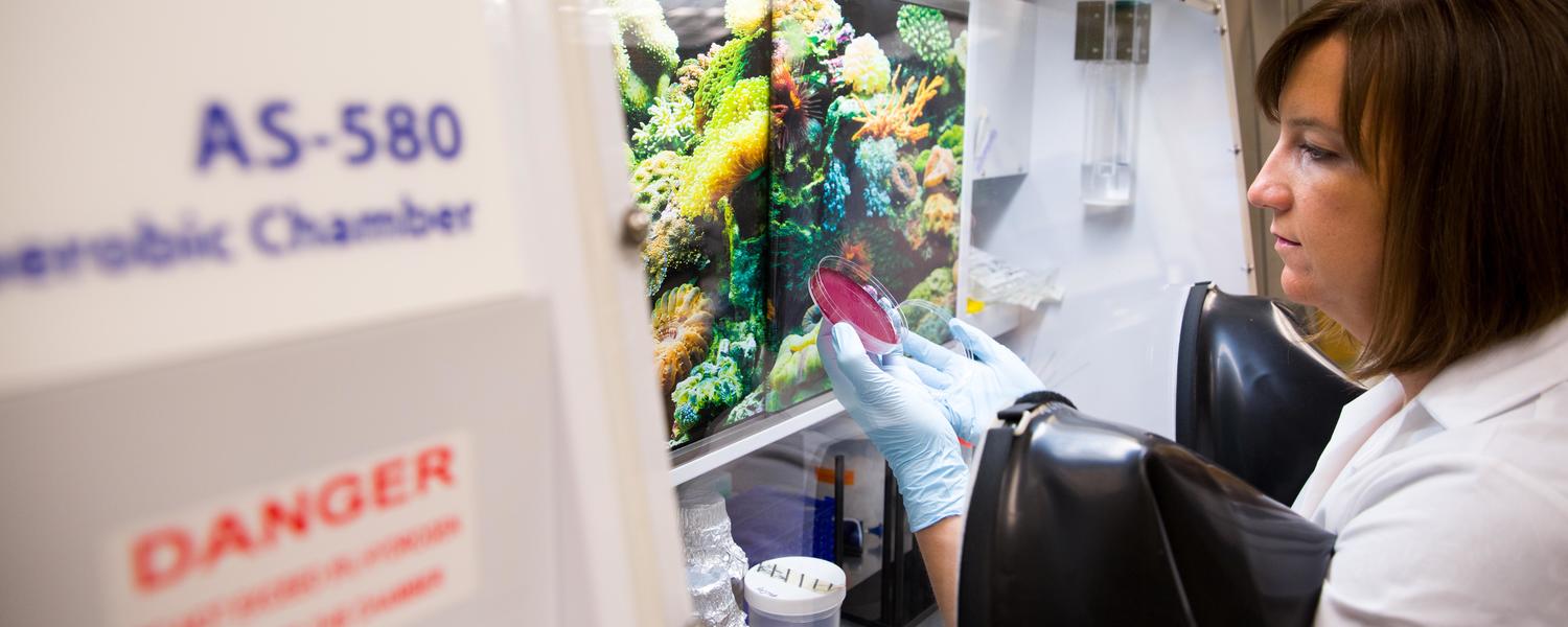 Laura Sycuro in her lab