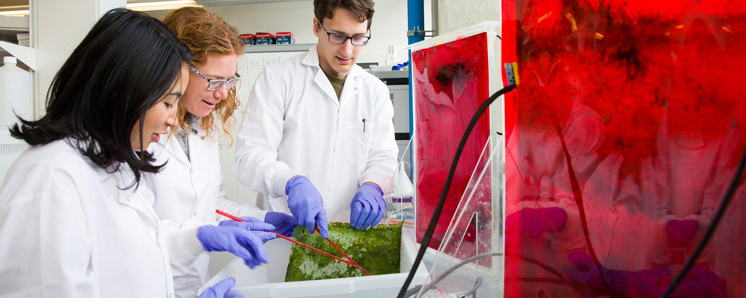 Christine Sharp lab