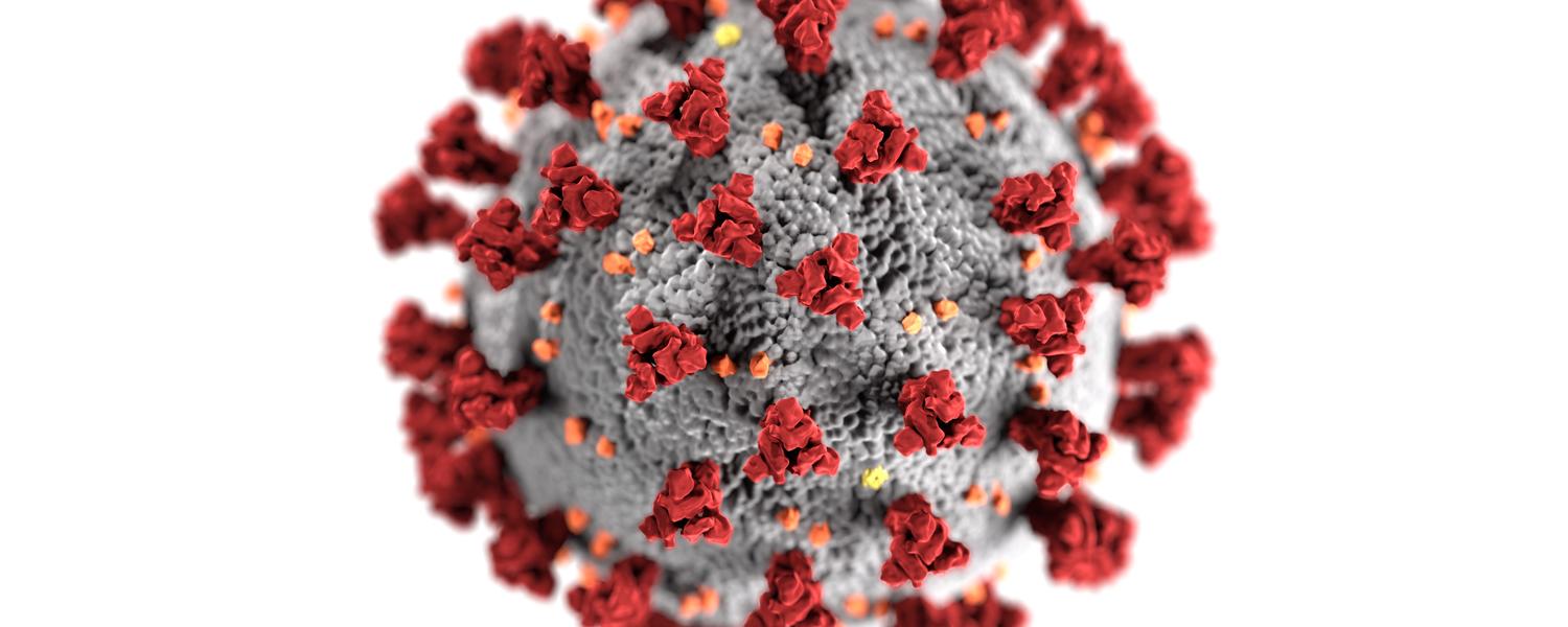 Illustration showing ultrastructural morphology exhibited by coronaviruses. Courtesy of Centers for Disease Control and Prevention (CDC)