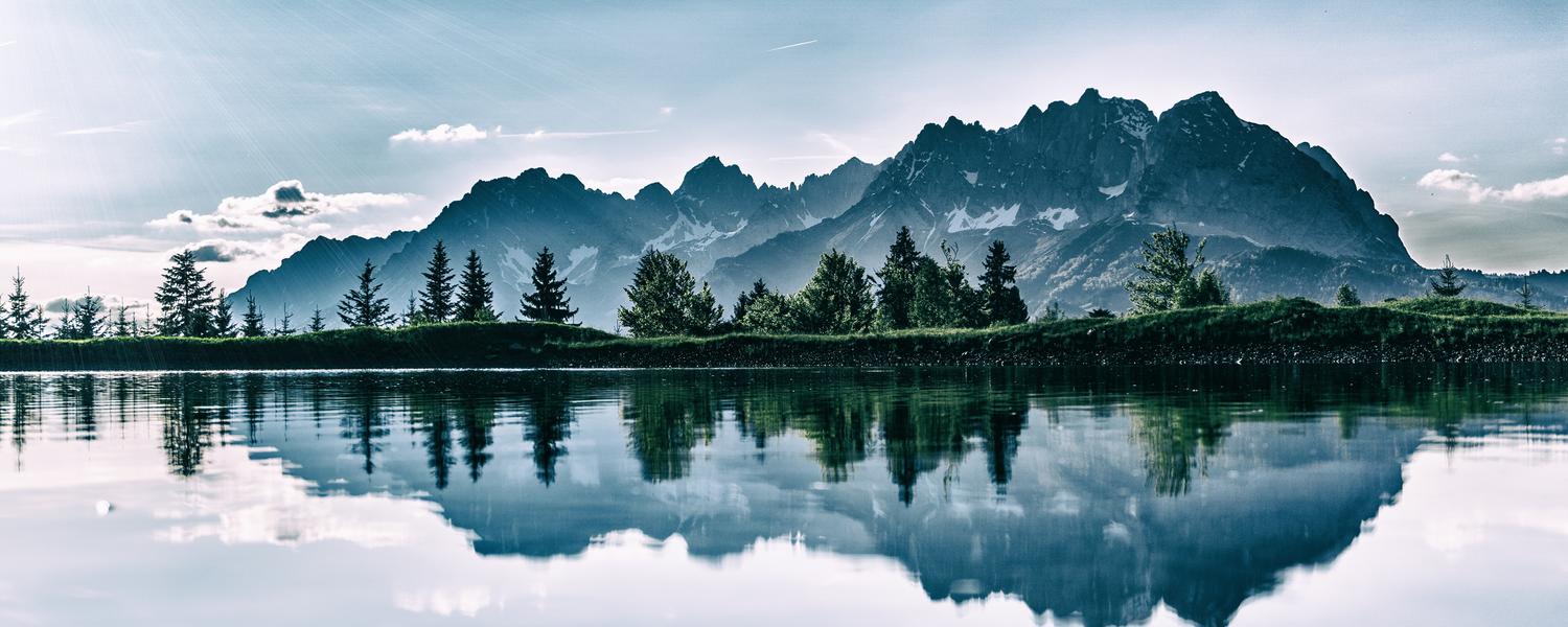 Environmental Analysis