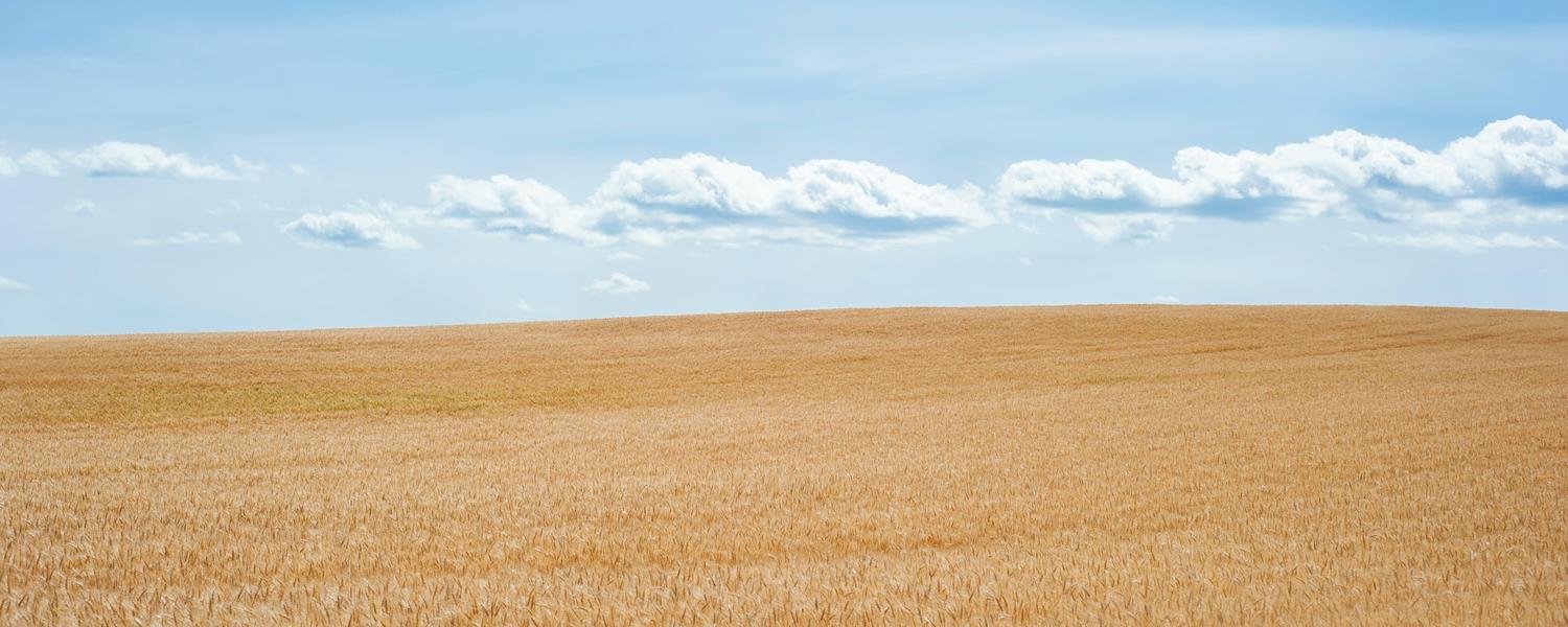 Prairie