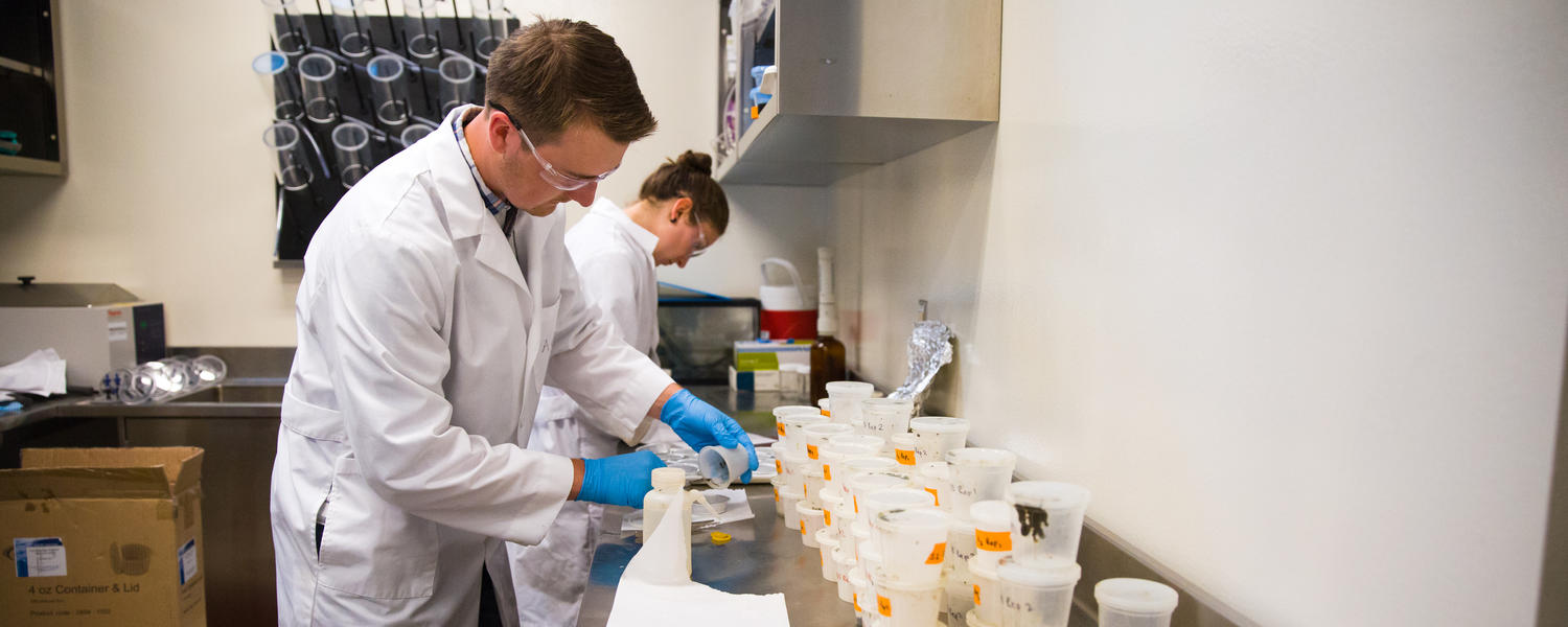 ACWA Researchers