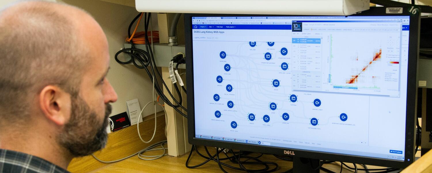 chart on a computer screen