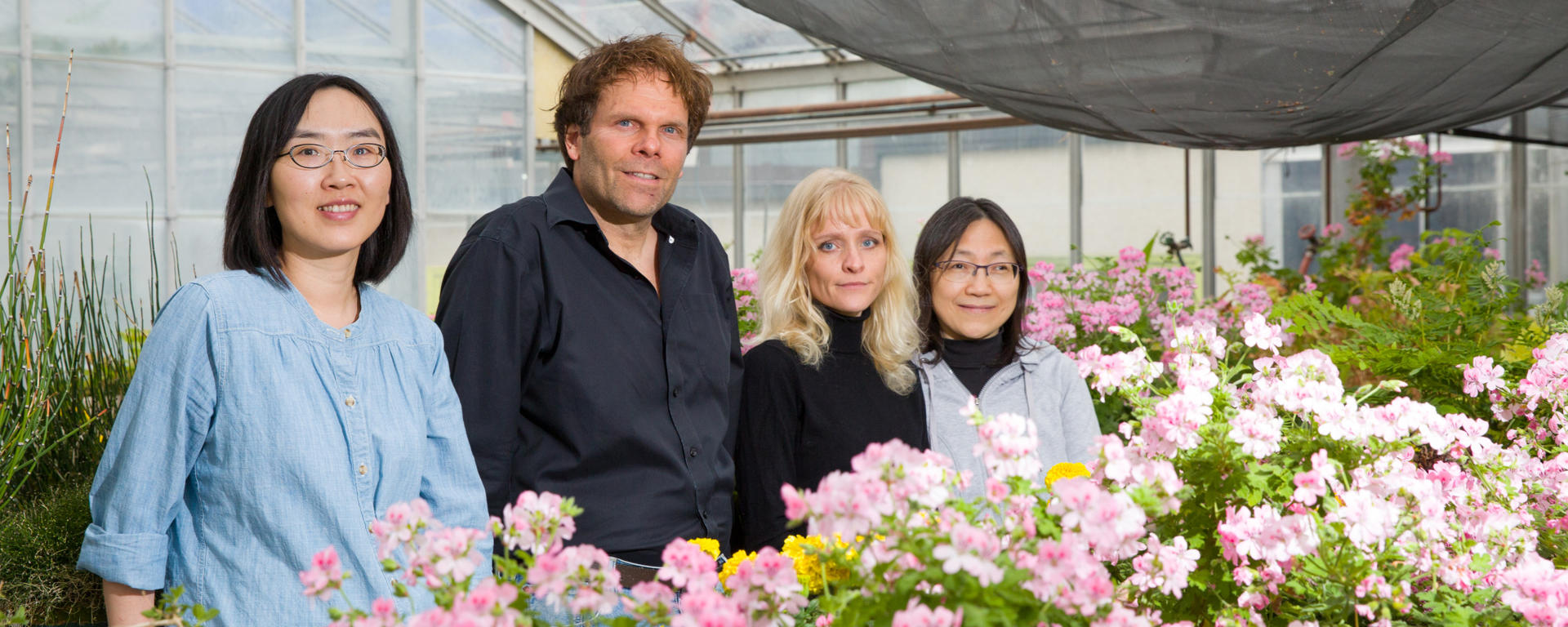 four researchers in a greenhouse