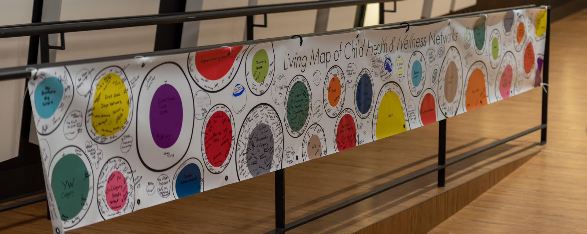 living map of child health networks