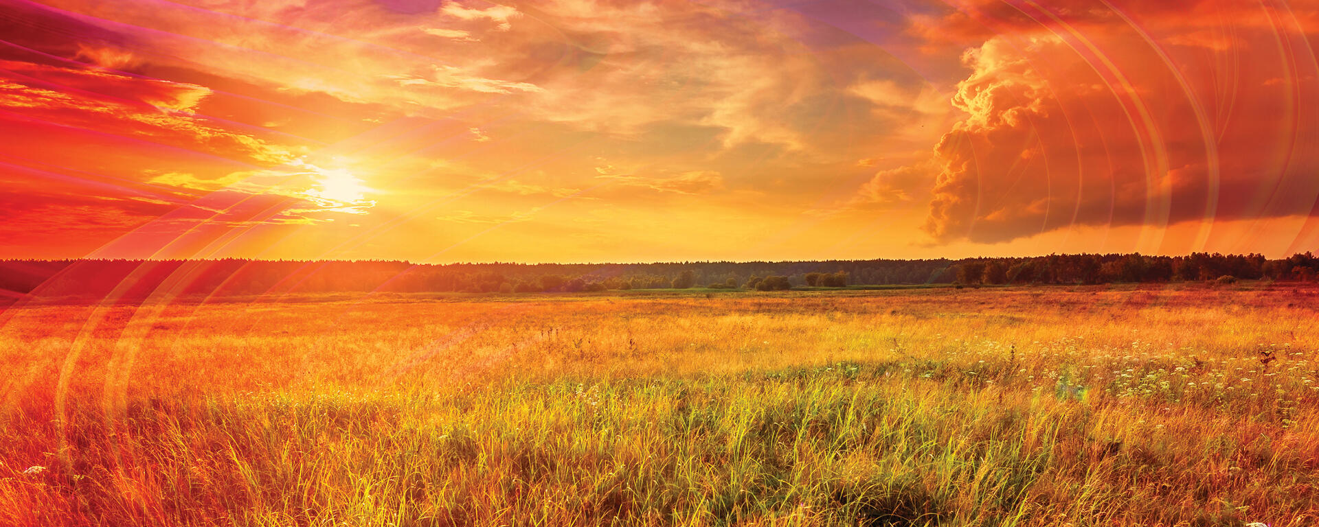 UCalgary graphic asset