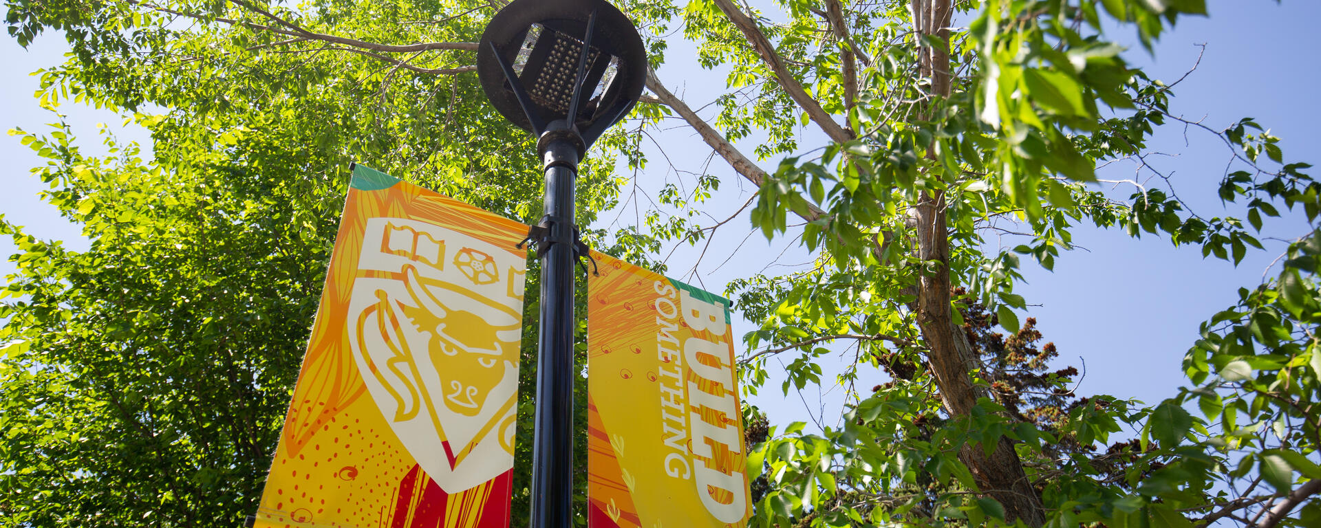 Banners attached to a light pole, amongst the spring foliage on campus.