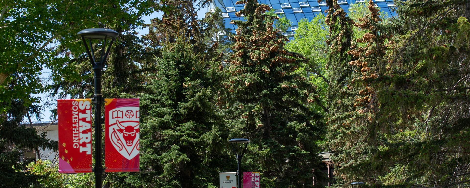 The University of Calgary campus during the spring season of 2023