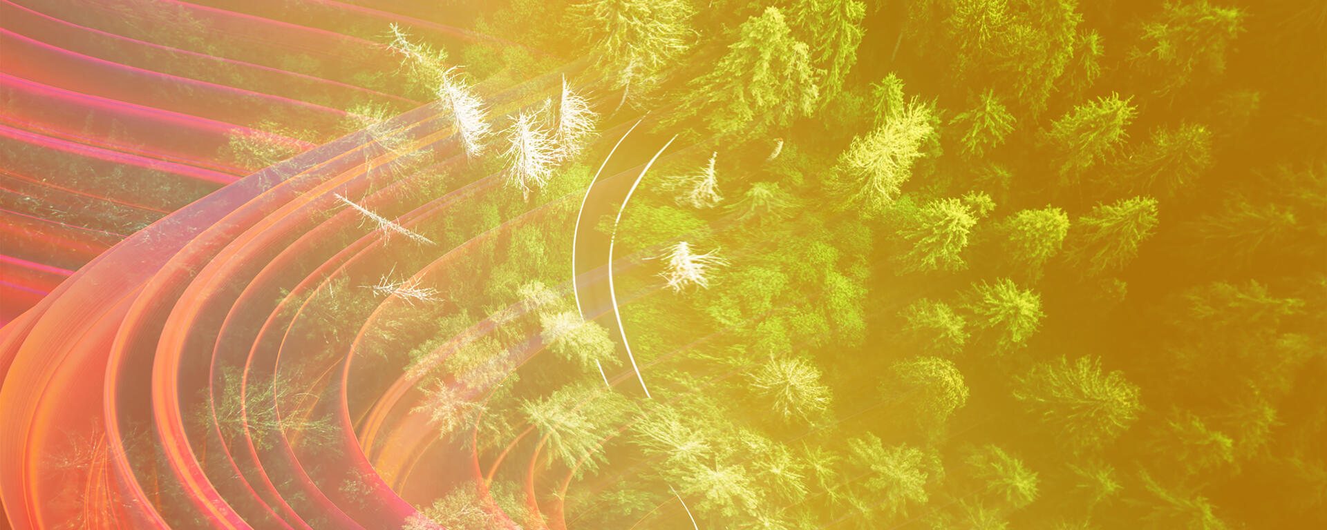 Aerial image of forest with abstract overlay