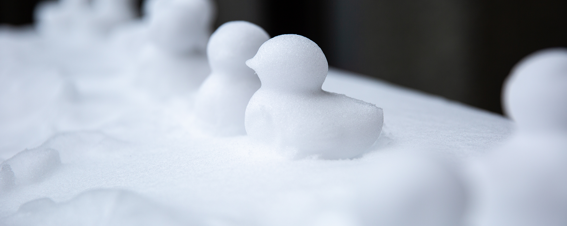 Snow ducks in a row