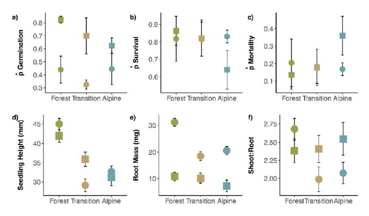 Average measures (+/- standard error) of seedling viability and growth across elevation zones and pooled by site. Average measures (+/- standard error) of seedling viability and growth across elevation zones and pooled by site.