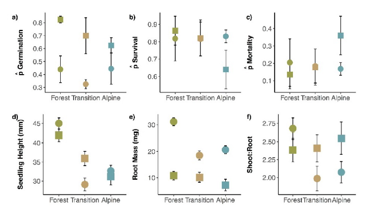 Average measures (+/- standard error) of seedling viability and growth across elevation zones and pooled by site.