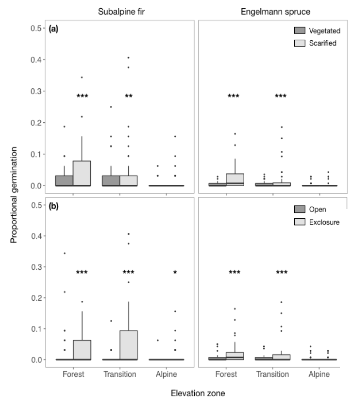 Mean proportion of established subalpine fir and Engelmann spruce seedlings