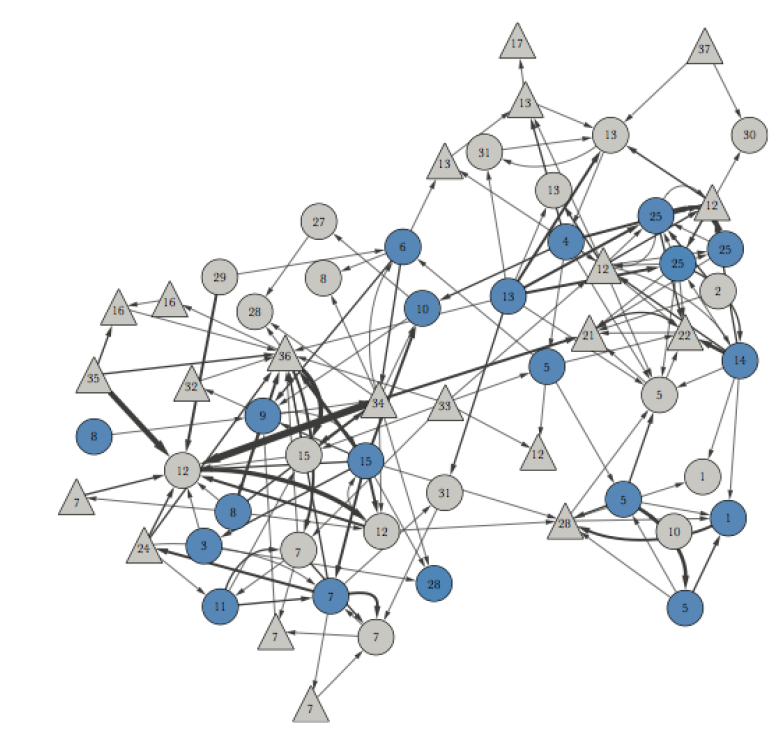 Directed, weighted, social network of aggressions during lactation in Columbian ground squirrels