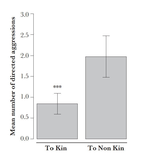 Aggressions directed toward kin or non-kin within a social network of aggressions in Columbian ground squirrels