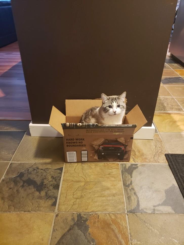 Also research expert