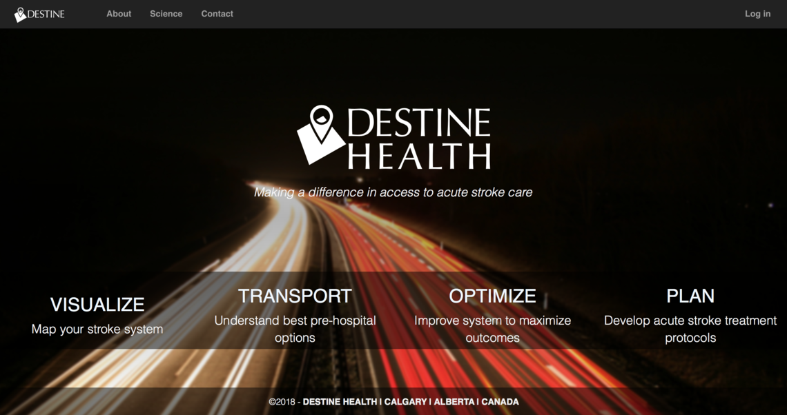 Destine: Decision Support Tool in Endovascular Therapy Destine: Decision Support Tool in Endovascular Therapy