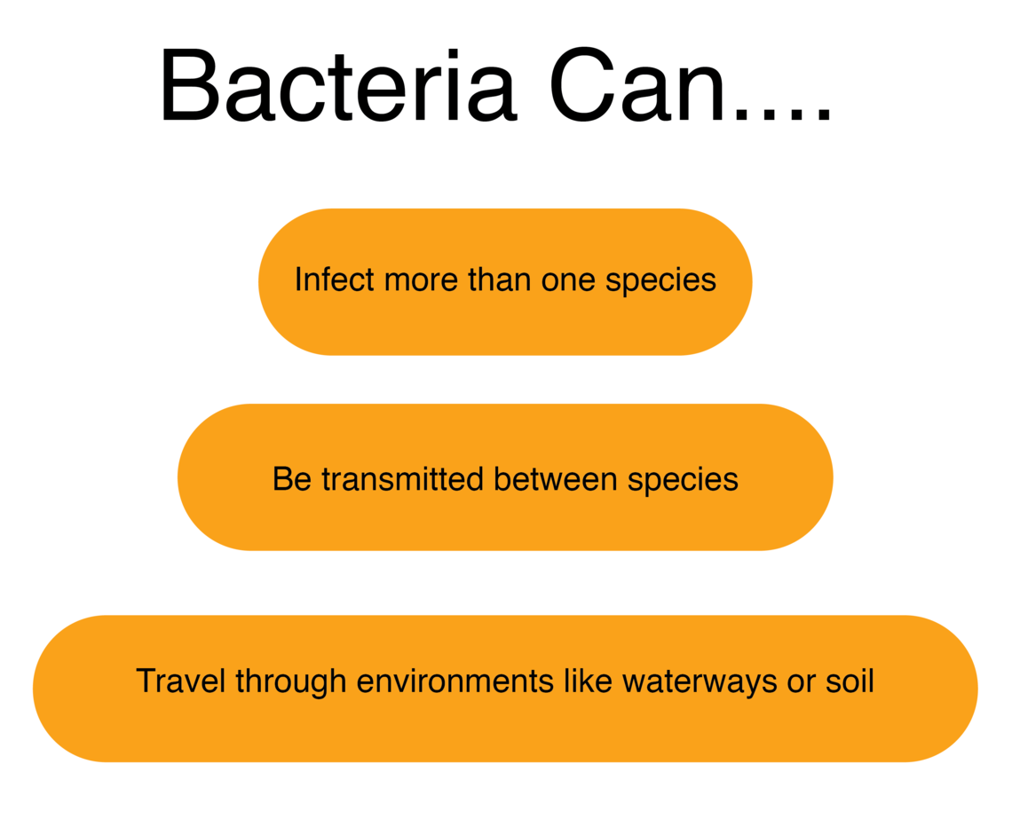 Bacteria can...