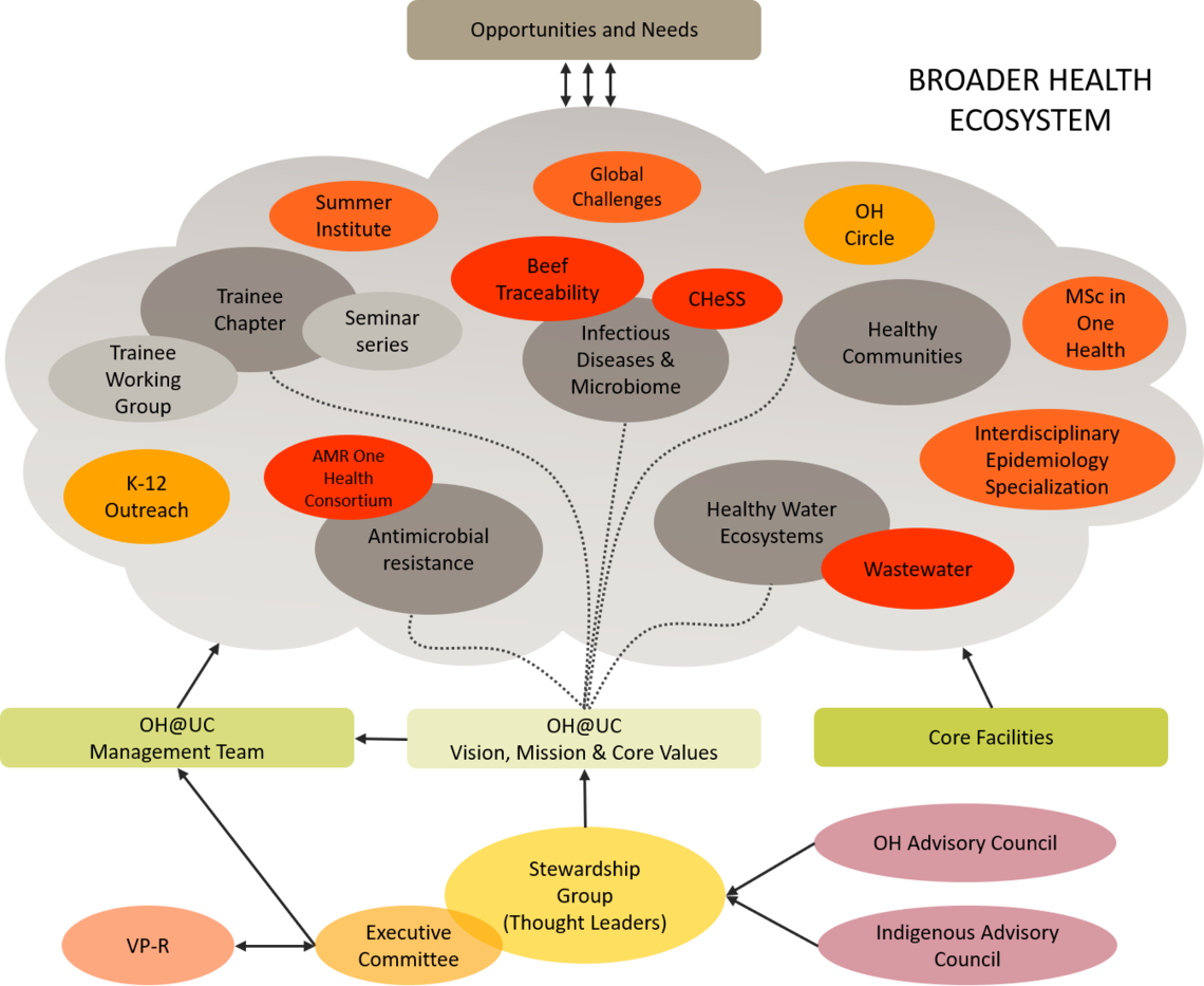 Organizational Diagram One Health at UCalgary Organizational Diagram One Health at UCalgary