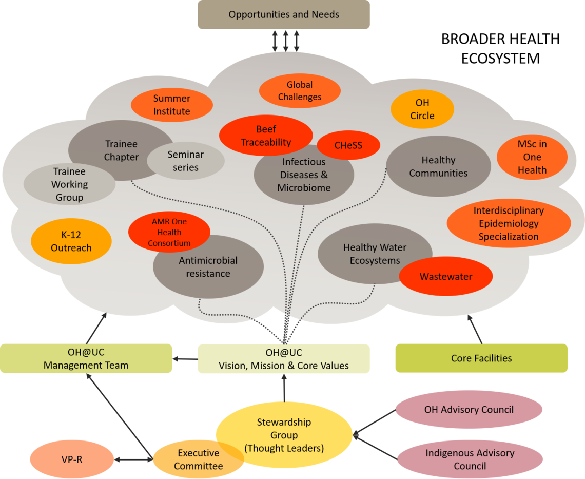 Organizational Diagram One Health at UCalgary