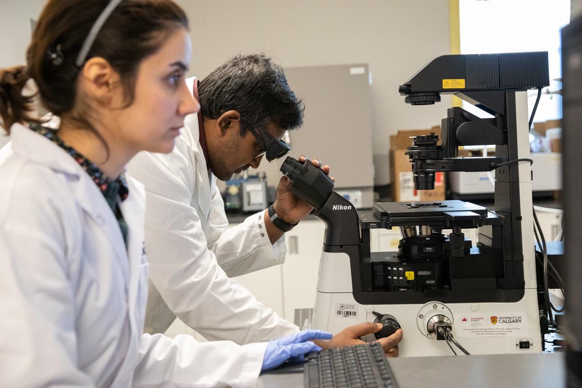 Researchers looking in a microscope