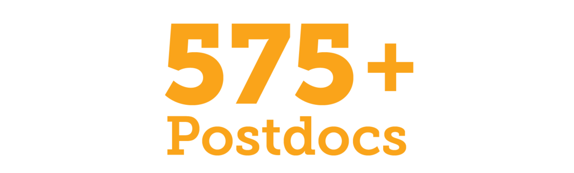 575 postdocs