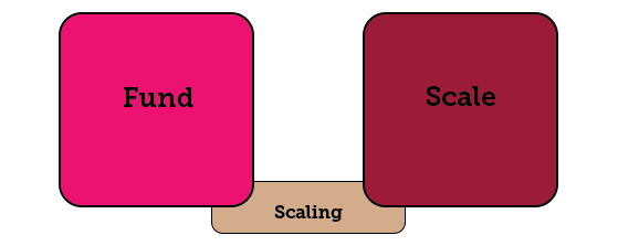 Fund to Scale