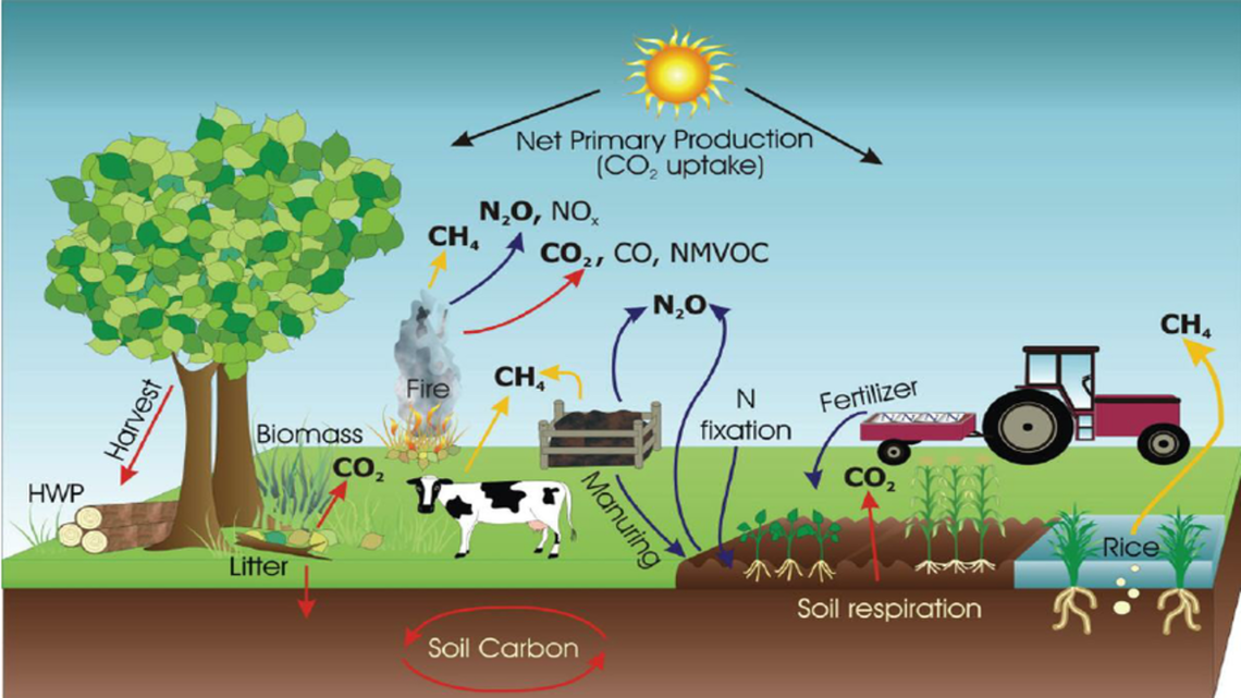 Cows, Crops and Climate Change