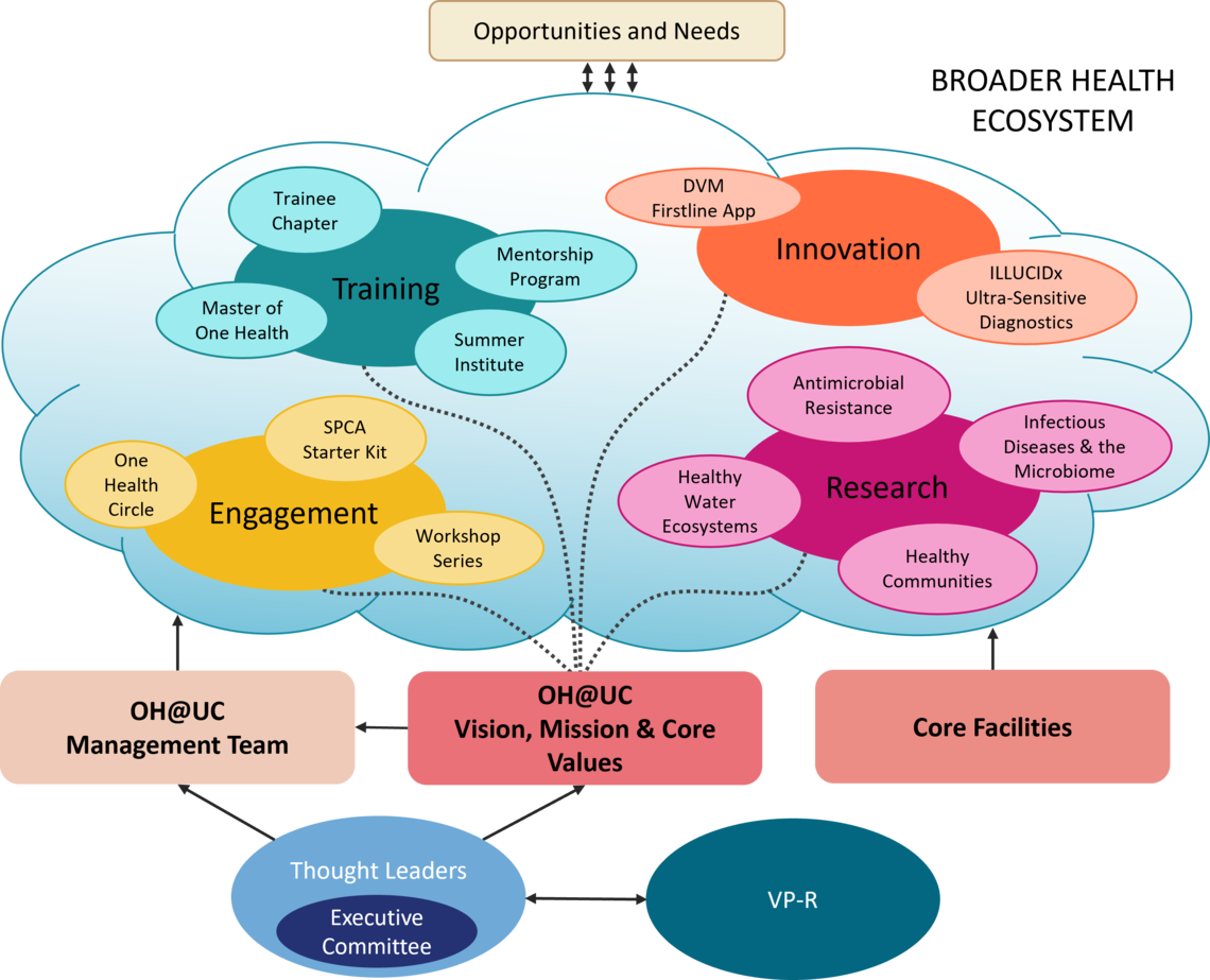 Organizational Diagram One Health at UCalgary