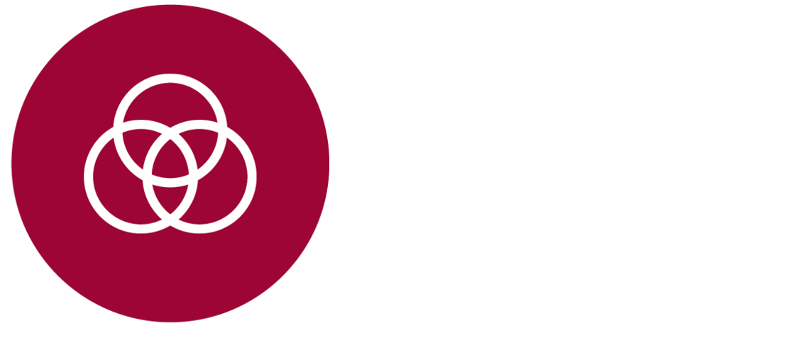 Institutes for Transdisciplinary Scholarship