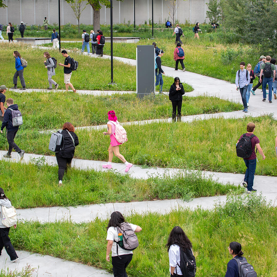 People walk up a zig-zag pathway on campus