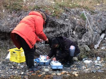 Students perform a field titration to determine dissolved oxygen in the stream.