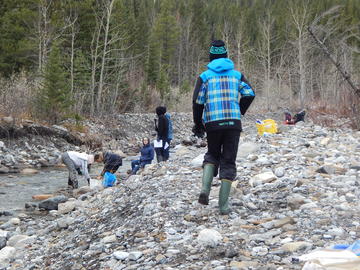Students use nets and buckets to collect aquatic invertebrates from the stream