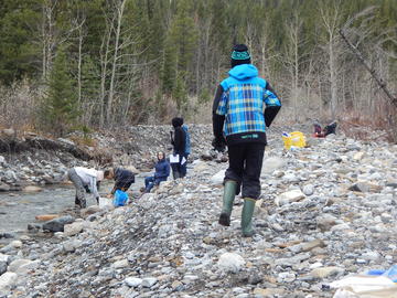 Students use nets and buckets to collect aquatic invertebrates from the stream