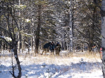 Students work together to collect terrestrial ecology data in the forest.