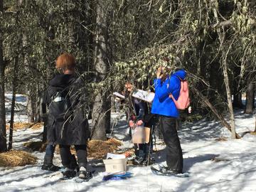 Students examine lichen and collect data in the forest.  