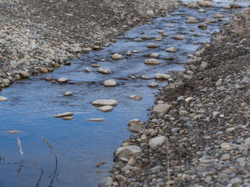 ACWA Streams