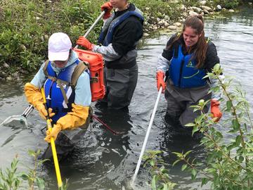 Electrofishing exercise at ACWA