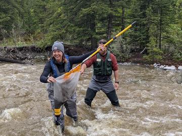 Kick net sampling in Lusk Creek