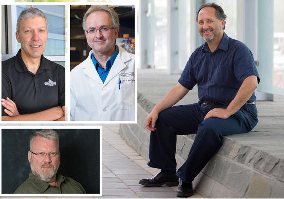 2018 Royal Society Fellows