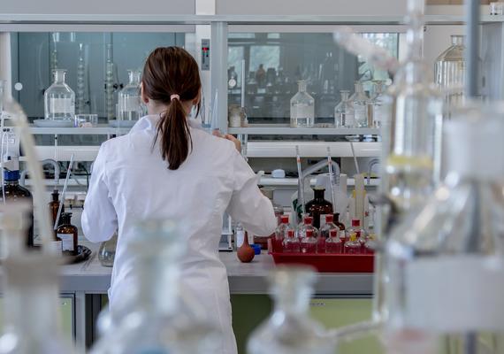 Lab User