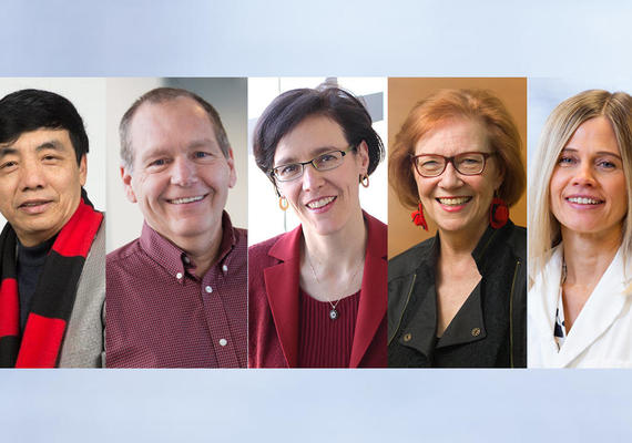 Killam Professorships