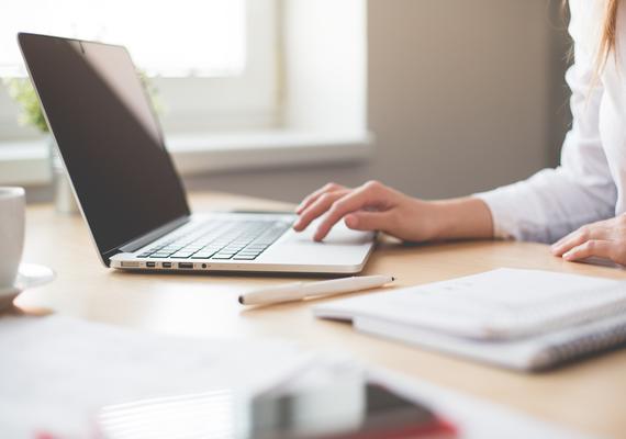 person using laptop