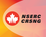 Internal (RSO) information session for early career researchers