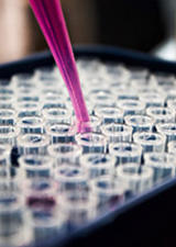 Bathe Lab