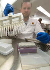 Lewis Lab